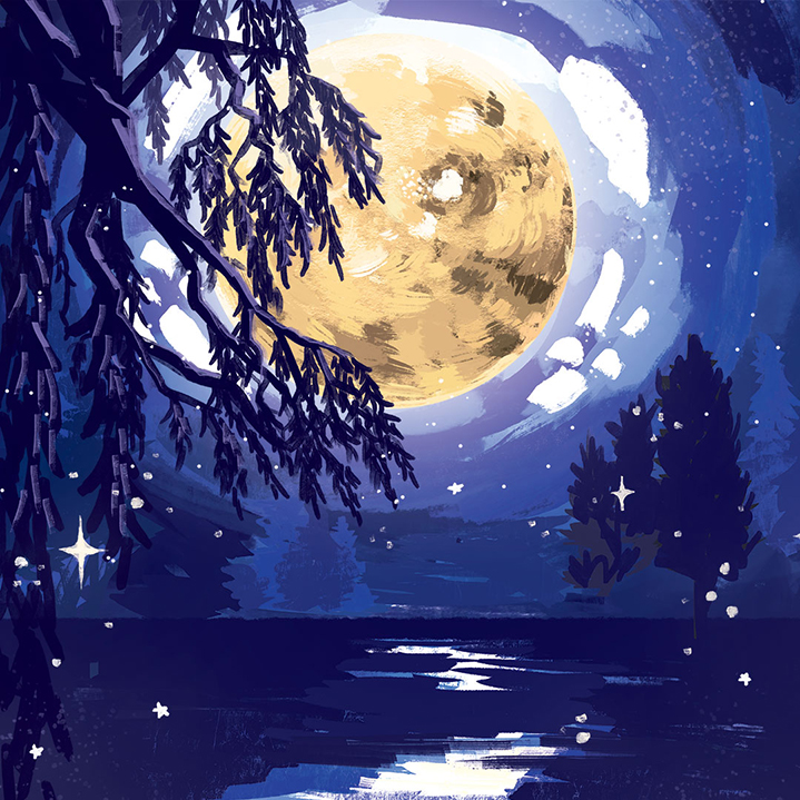 a night scene with moon, lake, and woods