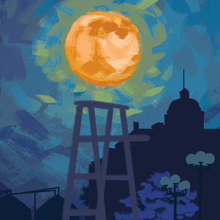 a scull wearing a crown